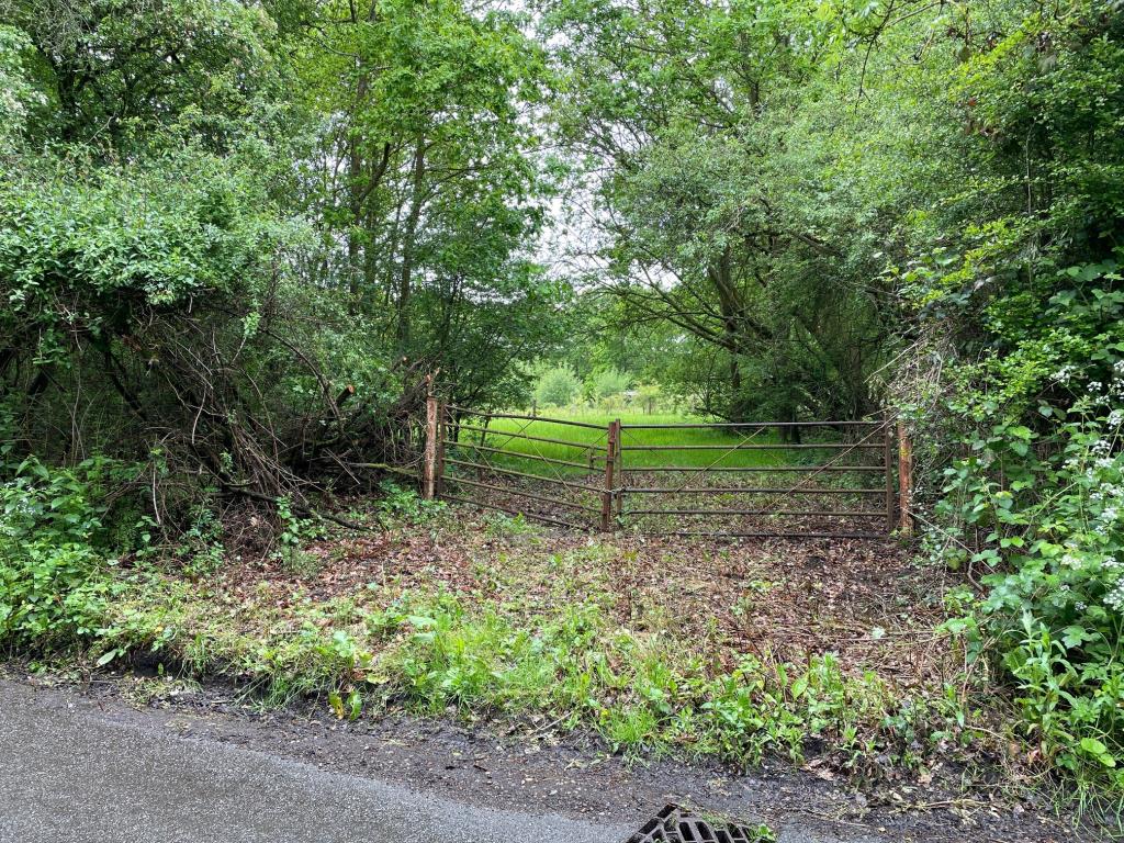 Lot: 71 - FREEHOLD PARCEL OF LAND - Gate access from the road on to the land